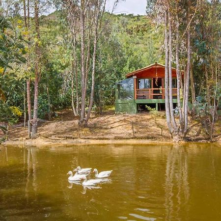Cabana Tipo Glamping Savieza Life Experience Nemocon Zewnętrze zdjęcie